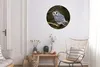 MuchoWow® Rundes Wandbild - Runde Bilder Eule - Vogel - Produktbild-Vorschau 5