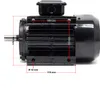 Motore elettrico Wiltec 400 V 2,2 kW (3 CV) trifase a 2 Anteprima dell’immagine prodotto 5