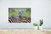 MuchoWow® Poster Auffälliges Zebra 30x20 cm - Plakate - Produktbild-Vorschau 5