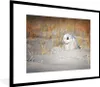 MuchoWow® MuchoWow® Gerahmtes Poster Eule - Schnee - Düne Produktbild-Vorschau 1