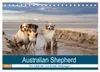 Australian Shepherd 2027 (Tischkalender 2027 DIN A5 quer), Produktbild-Vorschau 1