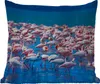 MuchoWow® Outdoor Kissen - Flamingo - Wasser - Tropisch - Produktbild-Vorschau 1