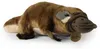 Peluche Ornithorynque 43 Cm Ecologique Voir les images du produit 2