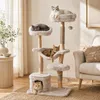 KOMFOTTEU, albero per gatti da 147 cm, con amaca, cuccia e Anteprima dell’immagine prodotto 9