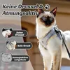 Supet Harnais pour chats avec laisse anti-fugue réglable S Voir les images du produit 2