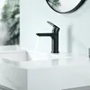 Cecipa Wasserhahn Bad Waschtischarmatur Schwarz, Produktbild-Vorschau 2