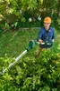 A man is using a hedge trimmer in a garden. Produktbild-Vorschau