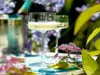 Stölzle Lausitz Power Champagnerschale 6er-Set I Produktbild-Vorschau 11