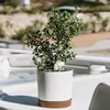Blumentopf Pflanztopf mit Untersetzer Ø 24cm in Weiß Produktbild-Vorschau 2