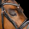 Jezdecká uzdečka Imperial Riding IRHPetit Black-Rose, Náhled obrázku produktu 3