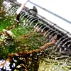 Aquael Hypermax Link - Filter der neuen Generation Produktbild-Vorschau 11