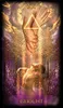 Marchetti Tarot - Folge deiner Intuition! Produktbild-Vorschau 5