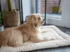 TrendPet Heaven - Wärmende Wendedecke beige 90x65 cm Produktbild-Vorschau 9