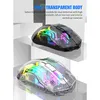 Two transparent gaming mice with RGB lighting are displayed on a white and light gray background. Produktbild-Vorschau