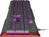 GENESIS Rhod 410, Pełnowymiarowy (100%), Przewodowa, USB, Podgląd zdjęcia produktu 4