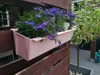 Geli Europaletten-Pflanzeinsatz EASY Rosa 37 cm - Produktbild-Vorschau 2
