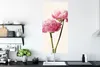 MuchoWow® Poster Blumen - Blüte - Rosa 60x120 cm - Produktbild-Vorschau 3
