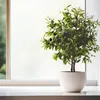 Folia statyczna MLHA 60 x 200 cm Podgląd zdjęcia produktu 2