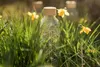 Carry Trinkflasche 0,7l Flower of Life, klar/weiß Produktbild-Vorschau 5