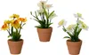 Künstliche Blumen im Topf Narzissen 18cm 1 Stück sortiert Produktbild-Vorschau 1