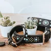 Hunter Halsband Sioux, Größe: 50 cm / Breite: 3,9 cm Produktbild-Vorschau 10