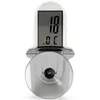 A close-up view of a digital thermometer with a suction cup on a white background. Podgląd zdjęcia produktu