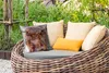 MuchoWow® Outdoor Kissen - Schottisches Hochlandrind - Produktbild-Vorschau 3
