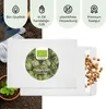 Hopfen Samen - Heilkräuter Saatgut aus biologischem Anbau Produktbild-Vorschau 4