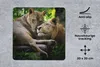 MuchoWow® Mauspad Mousepad Löwen - Baum - Gras 20x20 cm - Produktbild-Vorschau 2