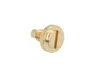 A single brass screw with a slotted head is shown against a white background. Produktbild-Vorschau
