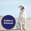 Canosept Ohrreiniger 125 ml Produktbild-Vorschau 4