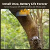A security camera with a solar panel attached to a tree in a forest. Produktbild-Vorschau