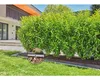 Gardena Micro-Drip-System Set siepi/arbusti 25m Anteprima dell’immagine prodotto 20