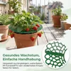 15er Set Erdbeerstützen aus Kunststoff – abnehmbares Produktbild-Vorschau 4