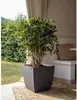 EDA 013690 G.ANT SX EDA Jardinière BASALT Diva, carrée, 435 Voir les images du produit 3