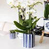 Kolibri Home | Gemaltes Streifchen Produktbild-Vorschau 2