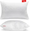 Vankúš Na Spanie 50X75 Antialergický Prešívaný Hrubý Zips Náhľad obrázku produktu 1