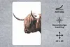 MuchoWow® Mauspad Mousepad Schottische Highlander - Tiere - Produktbild-Vorschau 2