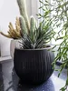 Kvetináč s vložkou BETON BOWL 23,8 cm - čierny Náhľad obrázku produktu 15