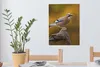 MuchoWow® - Leinwandbilder - Vogel - Zweig - Eichelhäher, Produktbild-Vorschau 4