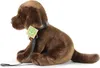 RAPPA Plyšový pes labrador 25 cm ECO-FRIENDLY Náhled obrázku produktu 3