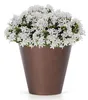 Prosperplast Blumentopf - Kunststoff - Bronze - D30 x 28 cm Produktbild-Vorschau 9