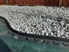 160 m² (100m x 1,6m) Gartenvlies gegen Unkraut Grün – Produktbild-Vorschau 6