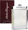 Salvatore Ferragamo pour Homme Eau de Toilette 100 ml Anteprima dell’immagine prodotto 7