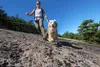 Ruffwear Grip Trex™ Hundeschuhe Produktbild-Vorschau 17