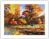 Poster - Poster ohne Rahmen - Park Herbst Wasser - 50x40 cm Produktbild-Vorschau 1
