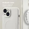 Funda de Colores con MagSafe para Apple iPhone 15 - Beige Vista previa de la imagen del producto 3