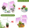 Collage of images showing different ways to install and use a plant grow light, with various plants. Produktbild-Vorschau