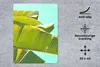 MuchoWow® Mauspad Mousepad Bananenblatt - Blätter - Produktbild-Vorschau 2