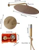 A diagram showing the dimensions of a gold shower system. Náhled obrázku produktu